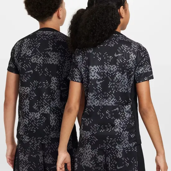 Футболка Nike Dri-FIT Academy Pro GX FV0291-069