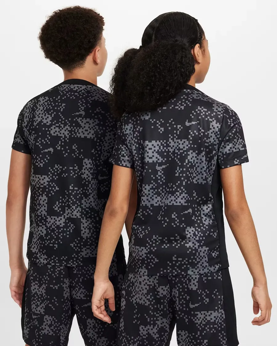 Футболка Nike Dri-FIT Academy Pro GX FV0291-069