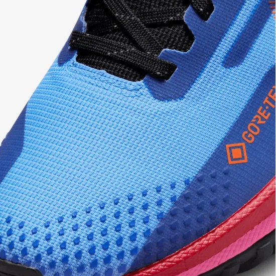 Кросівки Nike React Pegasus Trail 4 Gore-Tex FV1181-400