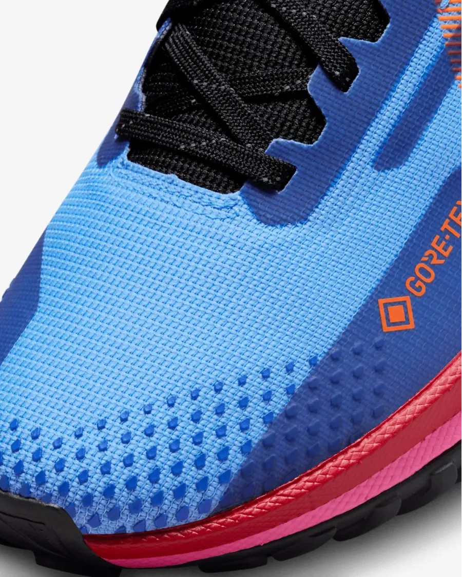 Кросівки Nike React Pegasus Trail 4 Gore-Tex FV1181-400