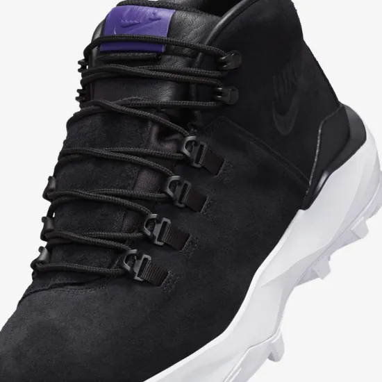 Черевики Nike Cygnal FV4332-001