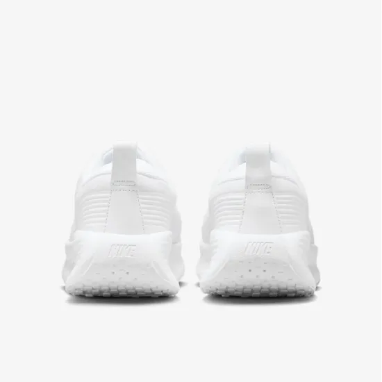 Кросівки Nike Promina FV5285-100