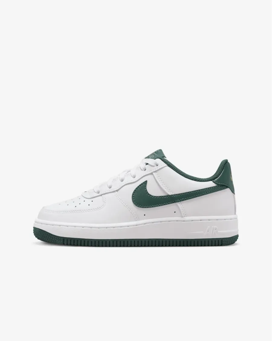 Кросівки Nike Air Force 1 FV5948-110