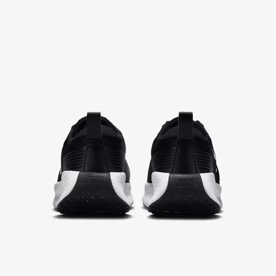 Кросівки Nike Promina FV6343-002