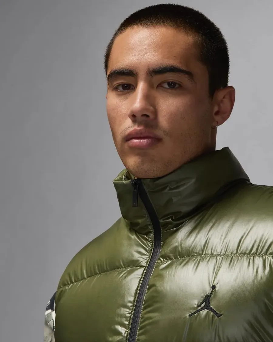 Жилетка Nike Air Jordan Flight Down Vest FV7273-222