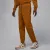 Штани Nike Air Jordan Brooklyn Fleece FV7277-228