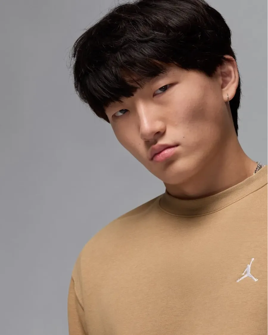 Кофта Nike Air Jordan Brooklyn Fleece FV7293-257