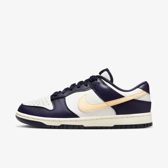 Кросівки Nike Dunk Low Retro FV8106-181