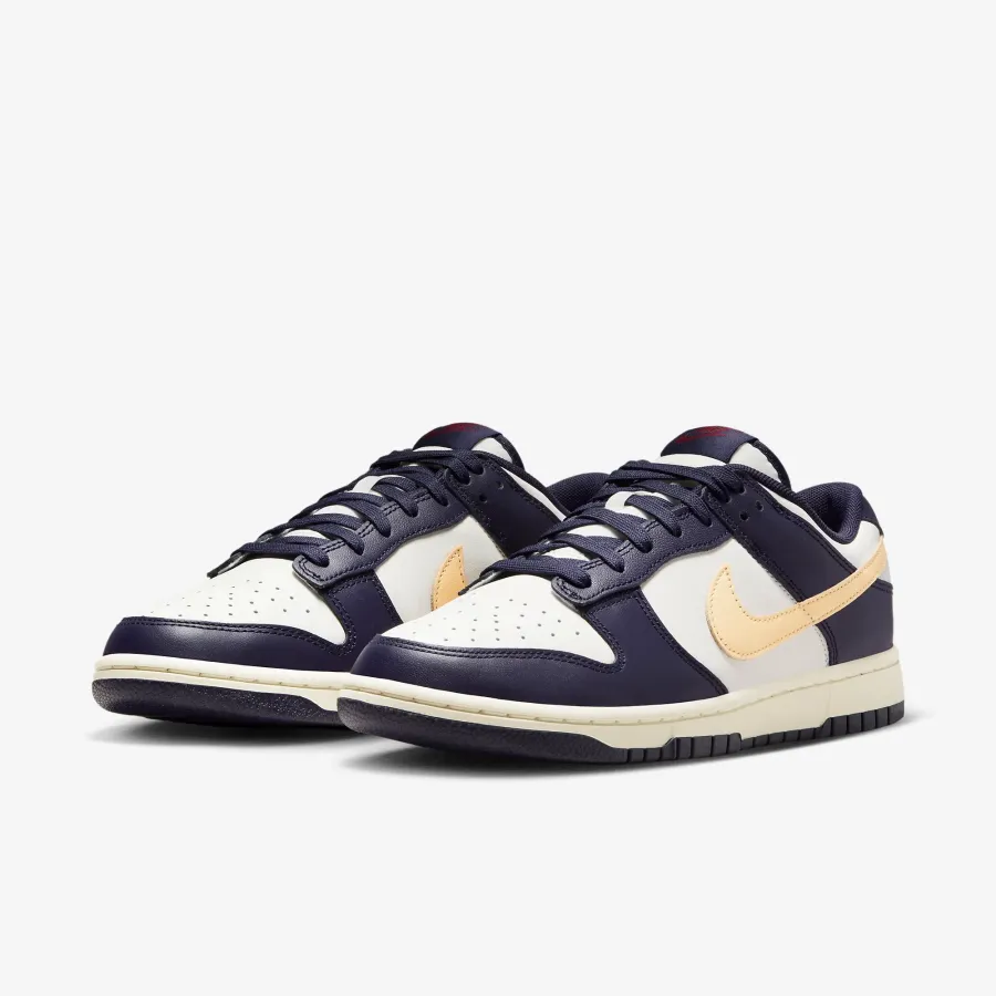 Кросівки Nike Dunk Low Retro FV8106-181