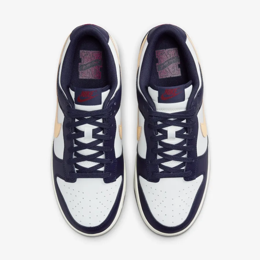 Кросівки Nike Dunk Low Retro FV8106-181