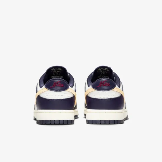 Кросівки Nike Dunk Low Retro FV8106-181