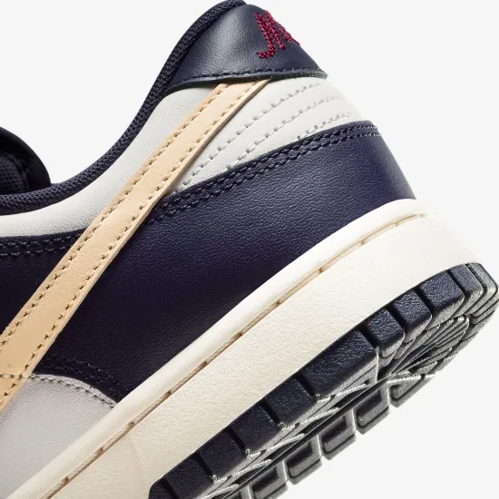 Кросівки Nike Dunk Low Retro FV8106-181
