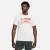 Футболка Nike Dri-FIT Fitness FV8360-133