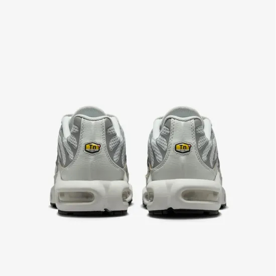 Кросівки Nike Air Max Plus FV8480-002