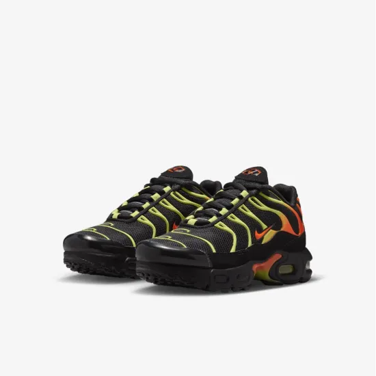 Кросівки Nike Air Max Plus FZ0023-040