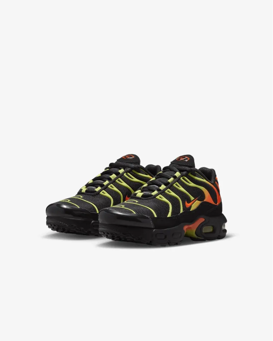 Кросівки Nike Air Max Plus FZ0023-040