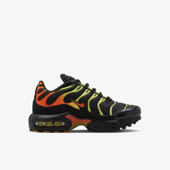 Кросівки Nike Air Max Plus FZ0023-040