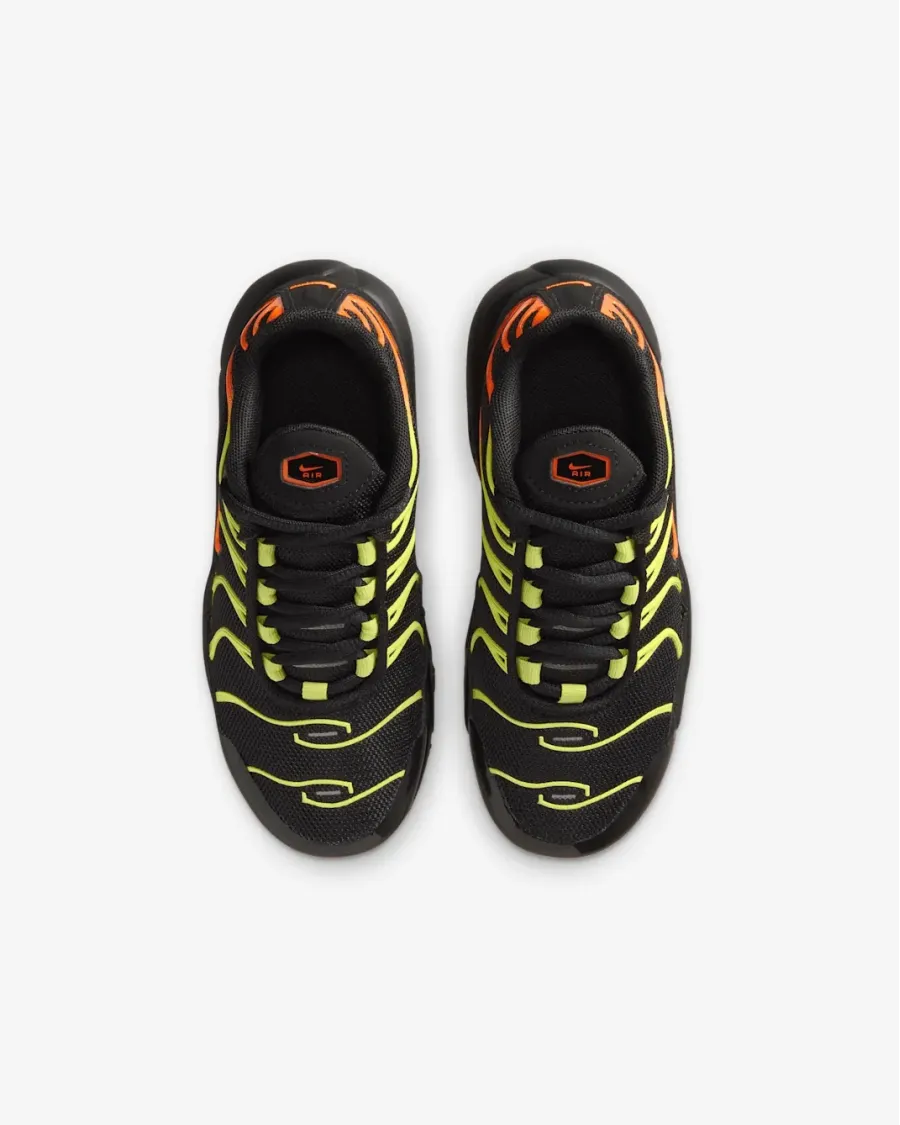Кросівки Nike Air Max Plus FZ0023-040
