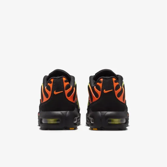 Кросівки Nike Air Max Plus FZ0023-040