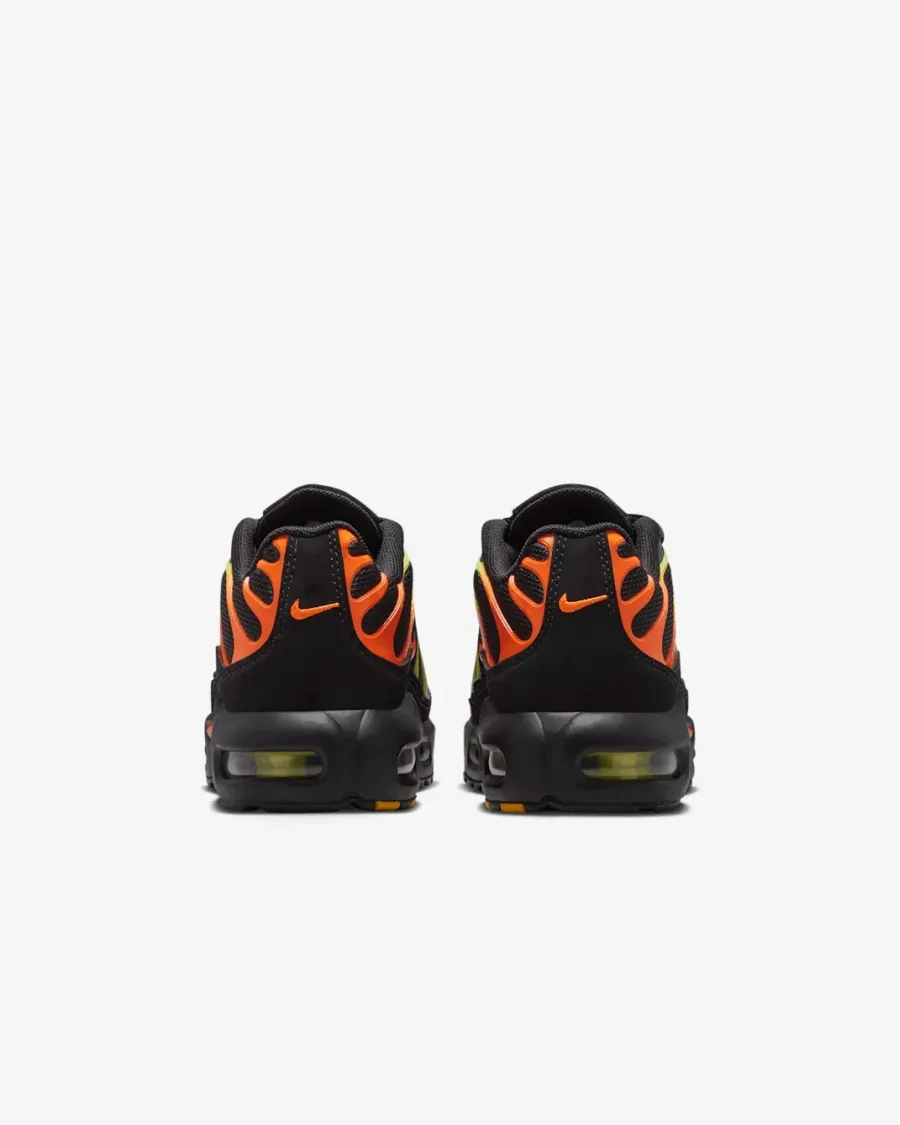 Кросівки Nike Air Max Plus FZ0023-040