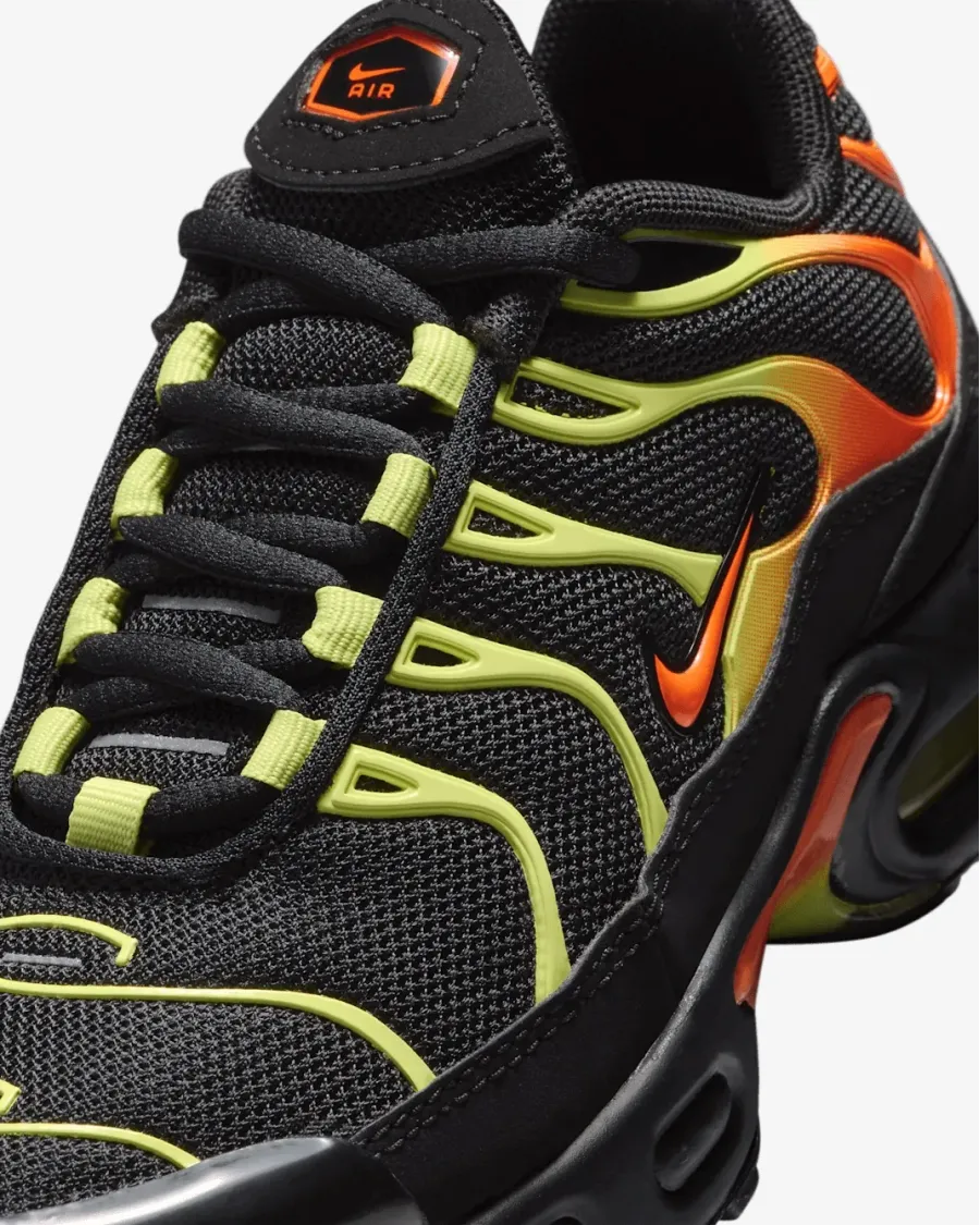 Кросівки Nike Air Max Plus FZ0023-040