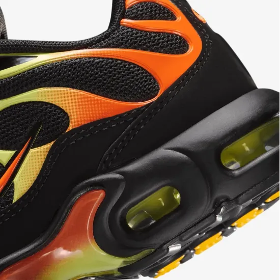 Кросівки Nike Air Max Plus FZ0023-040