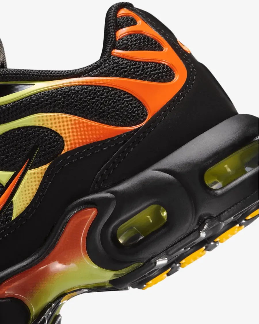 Кросівки Nike Air Max Plus FZ0023-040