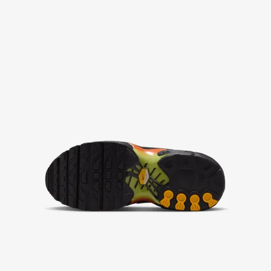 Кросівки Nike Air Max Plus FZ0023-040