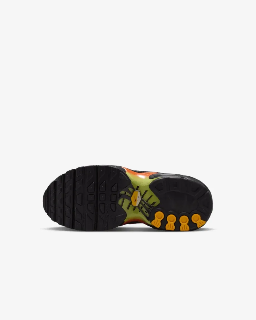 Кросівки Nike Air Max Plus FZ0023-040