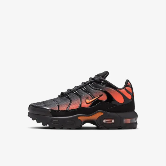 Кросівки Nike Air Max Plus FZ0023-041
