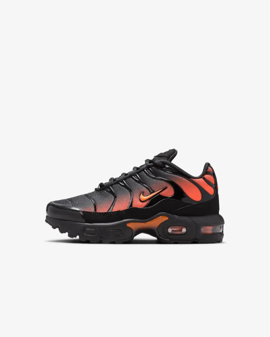 Кросівки Nike Air Max Plus FZ0023-041
