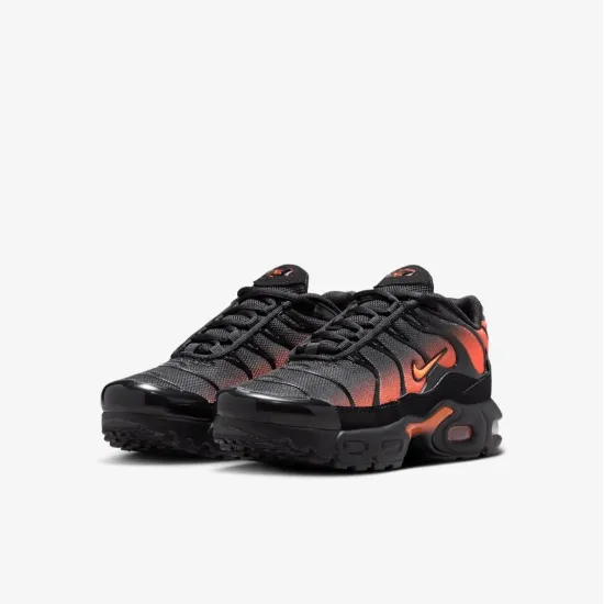 Кросівки Nike Air Max Plus FZ0023-041
