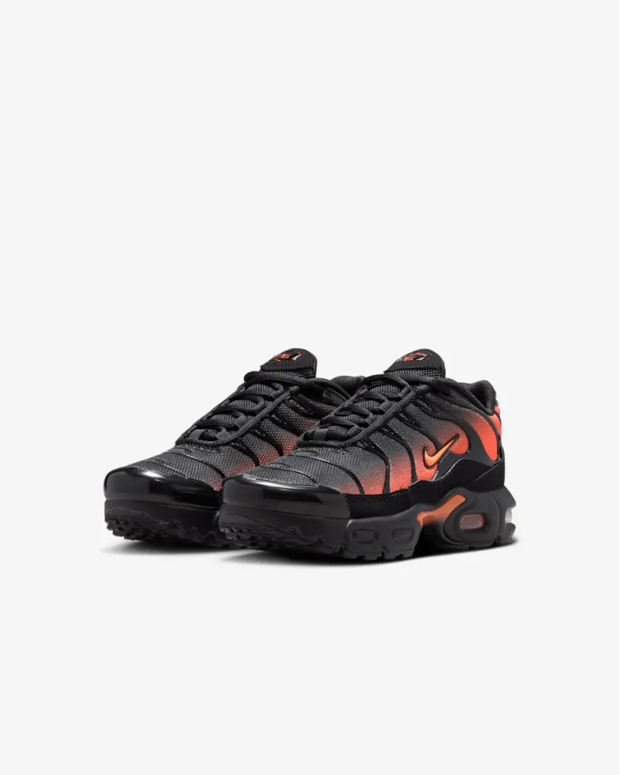 Кросівки Nike Air Max Plus FZ0023-041