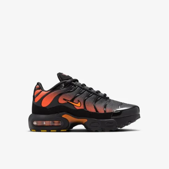 Кросівки Nike Air Max Plus FZ0023-041