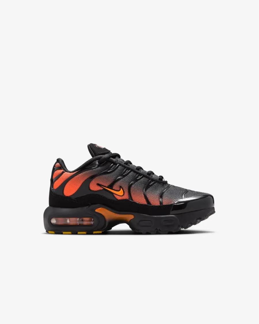 Кросівки Nike Air Max Plus FZ0023-041