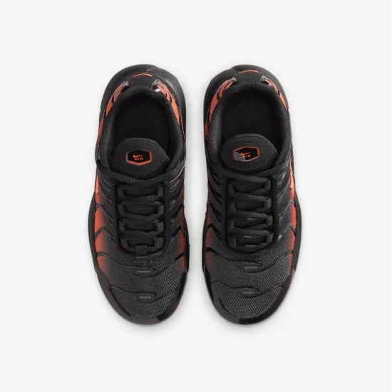 Кросівки Nike Air Max Plus FZ0023-041