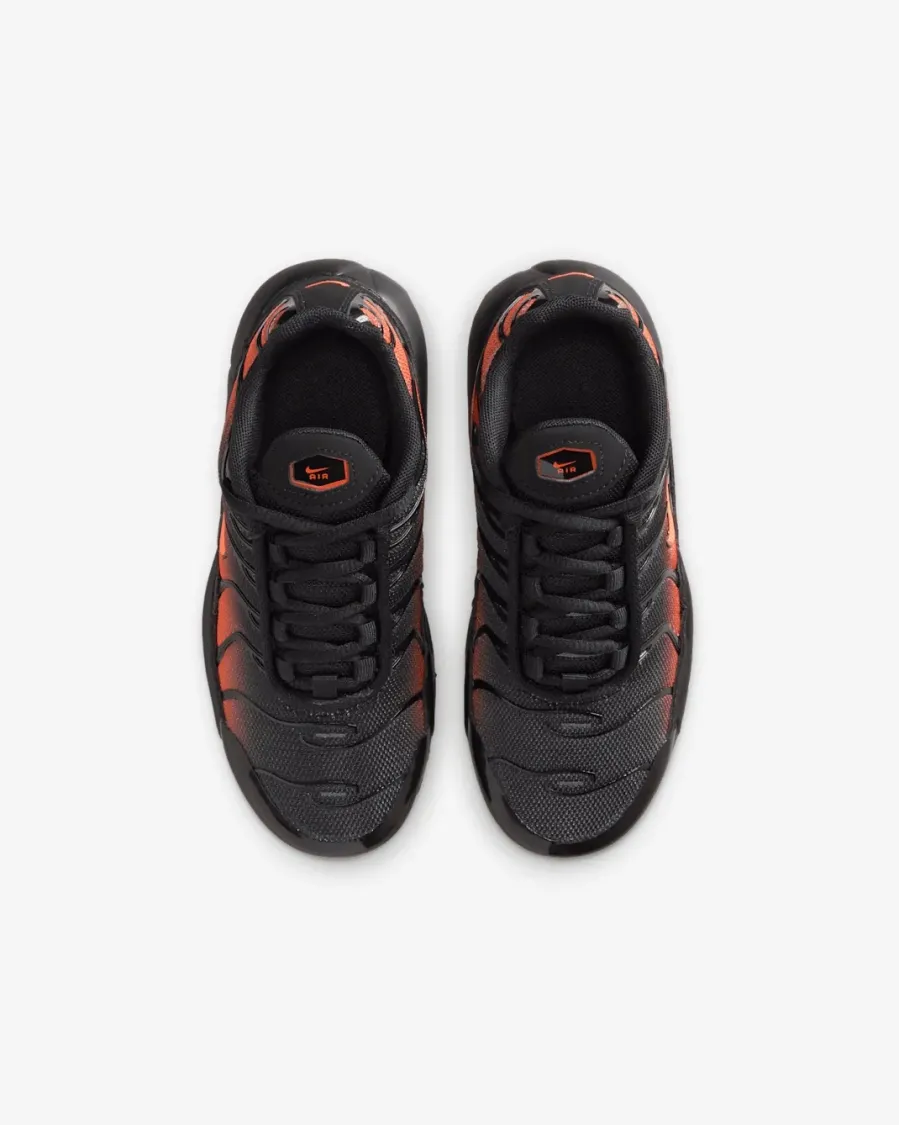 Кросівки Nike Air Max Plus FZ0023-041