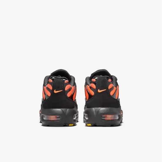 Кросівки Nike Air Max Plus FZ0023-041