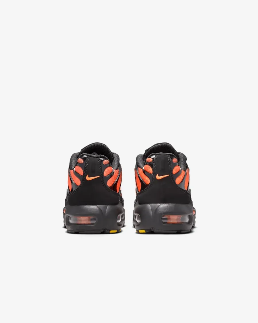 Кросівки Nike Air Max Plus FZ0023-041