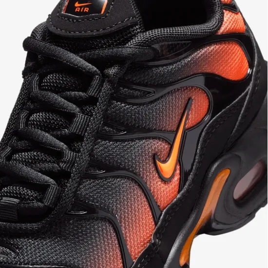 Кросівки Nike Air Max Plus FZ0023-041