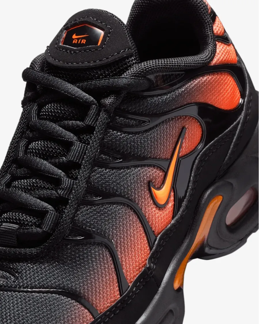 Кросівки Nike Air Max Plus FZ0023-041