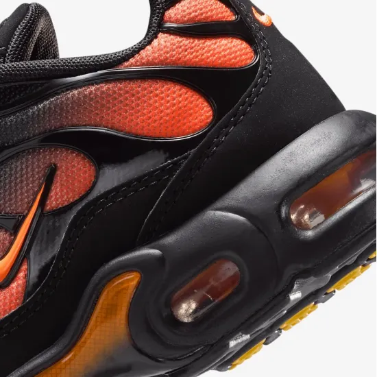 Кросівки Nike Air Max Plus FZ0023-041