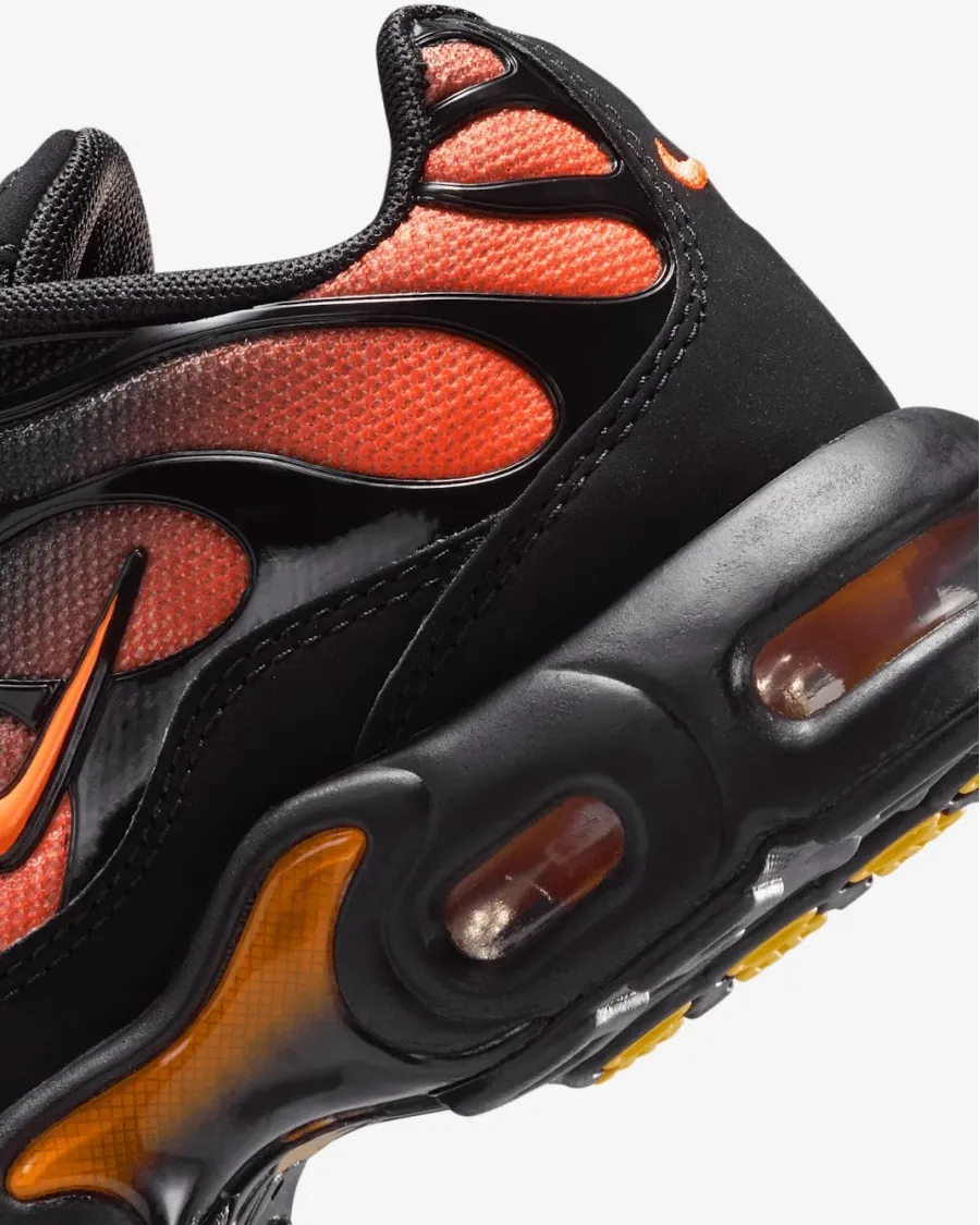 Кросівки Nike Air Max Plus FZ0023-041