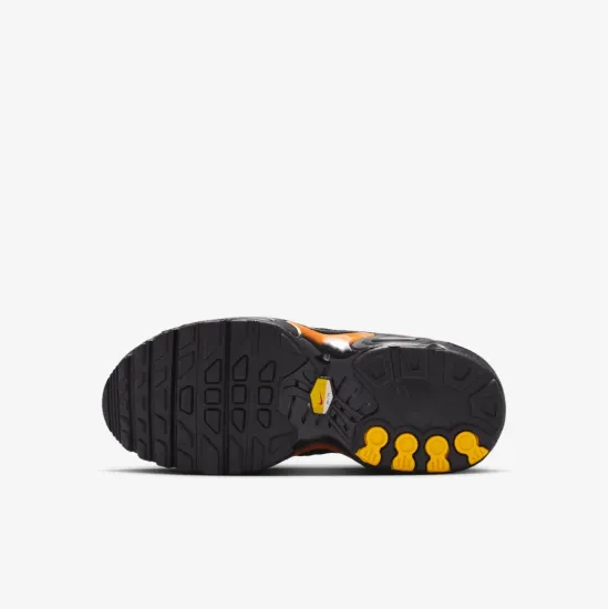 Кросівки Nike Air Max Plus FZ0023-041