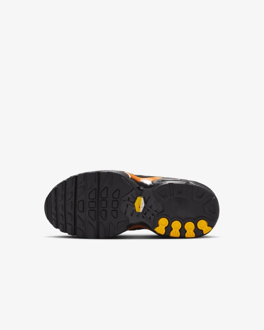 Кросівки Nike Air Max Plus FZ0023-041