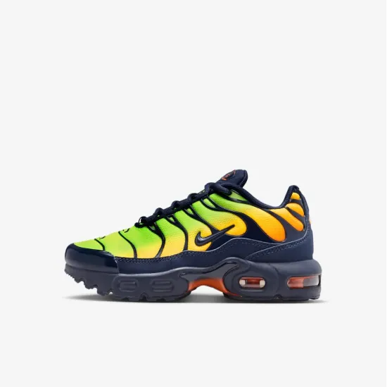 Кросівки Nike Air Max Plus FZ0023-700