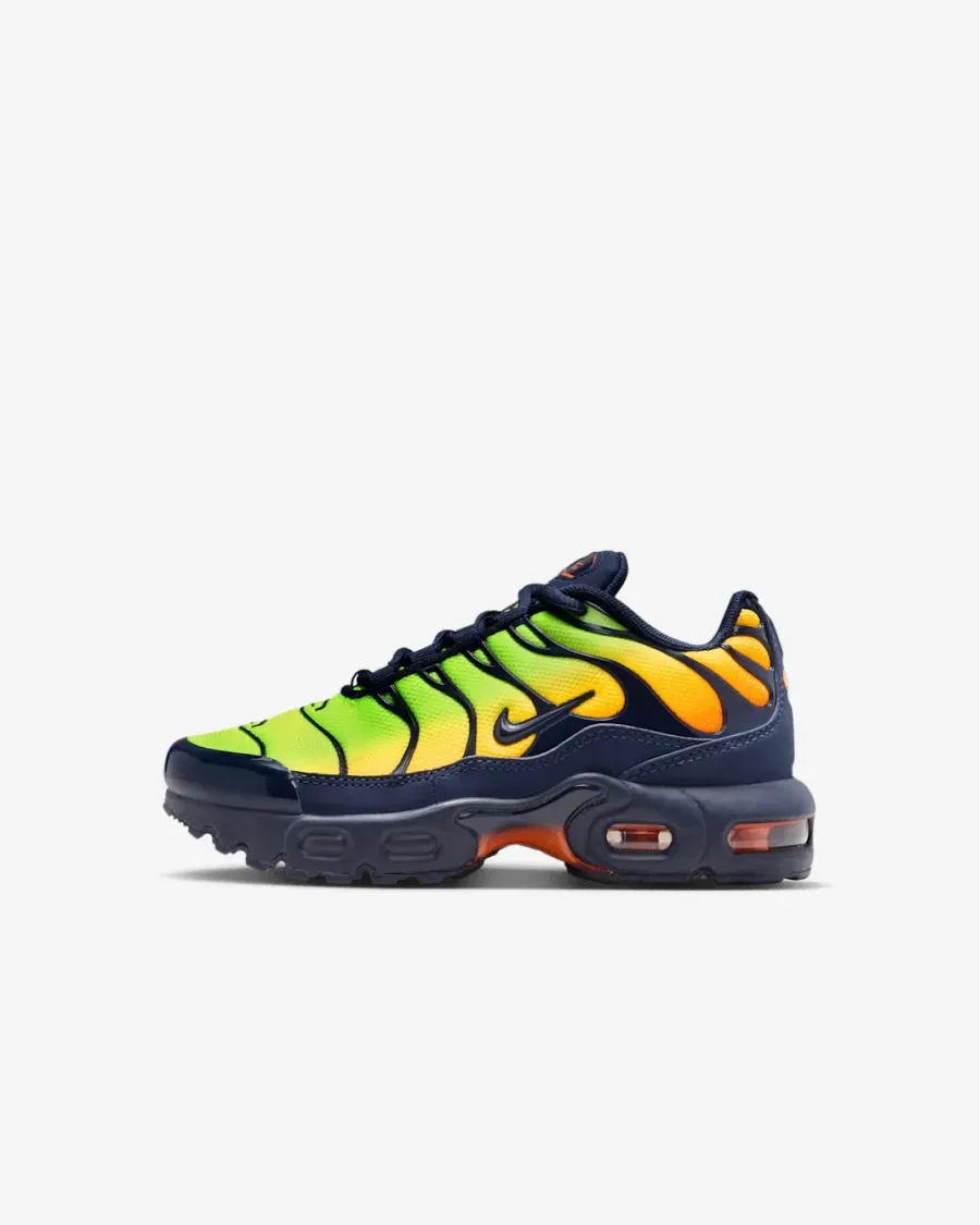 Кросівки Nike Air Max Plus FZ0023-700