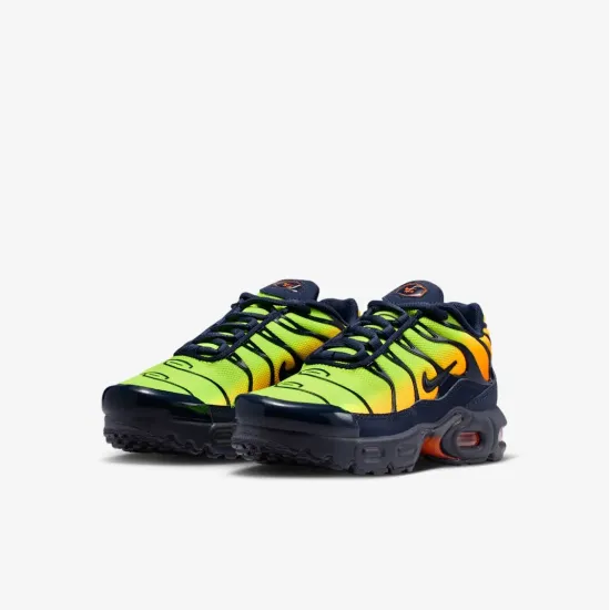 Кросівки Nike Air Max Plus FZ0023-700