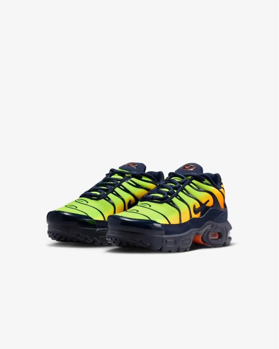 Кросівки Nike Air Max Plus FZ0023-700