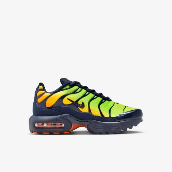 Кросівки Nike Air Max Plus FZ0023-700